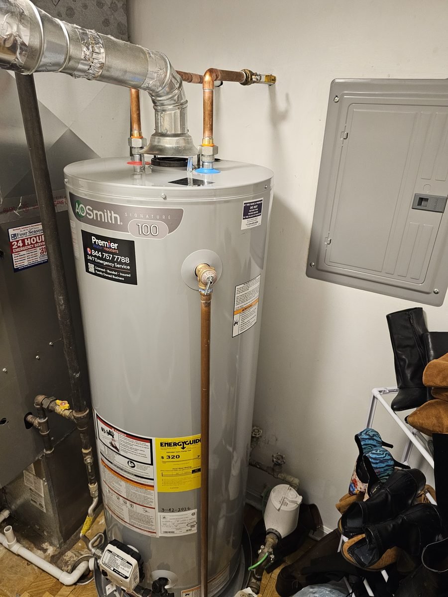 AO Smith Signature 100 standard draft installed — Elk Grove Village IL Premier Water Heaters